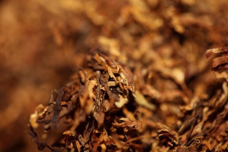 Comprar Tabaco de Liar de Calidad